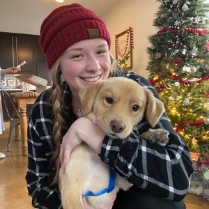 Meet your Posher, Molly